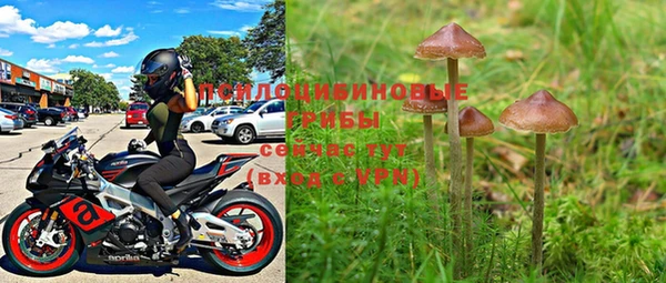 винт Кукмор