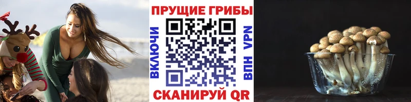 Галлюциногенные грибы Psilocybe  хочу   Арзамас 